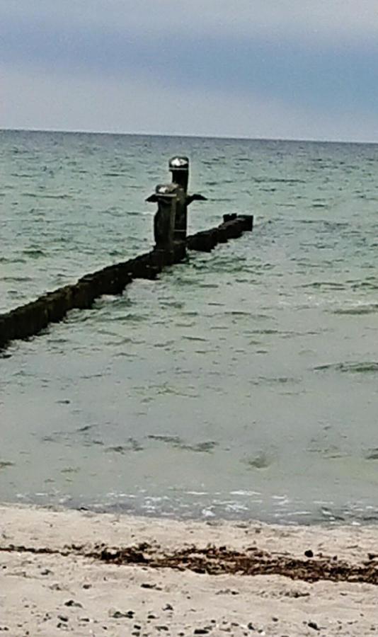 Ferienwohnung "Juliette" Zingst Bagian luar foto
