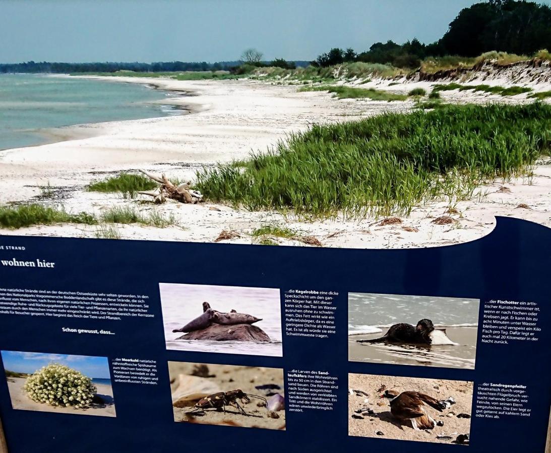 Ferienwohnung "Juliette" Zingst Bagian luar foto